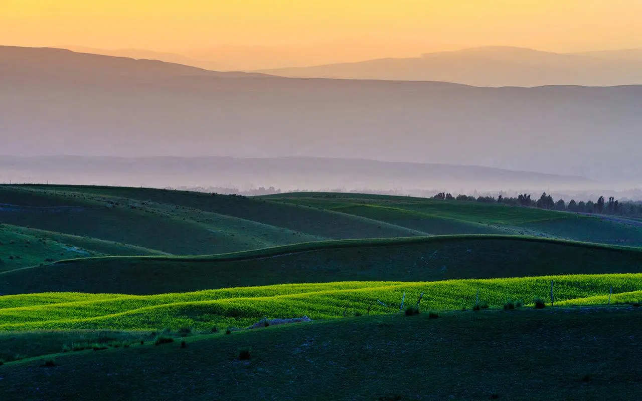 自动化智能系统